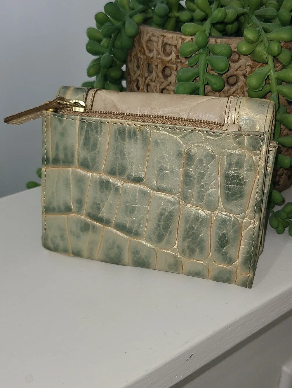 Brahmin Croc-Embossed Compact Wallet in Sage Green And Ivory